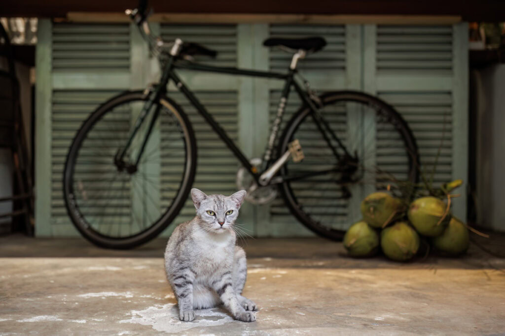 15 Grams: Saigon’s intimate Pasta Paradise
