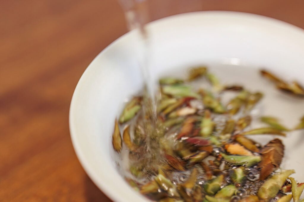 Japanese Tea Curator Simple Tea Life