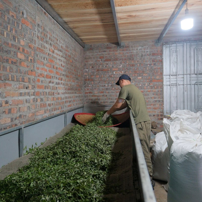 Japanese Tea Curator Simple Tea Life