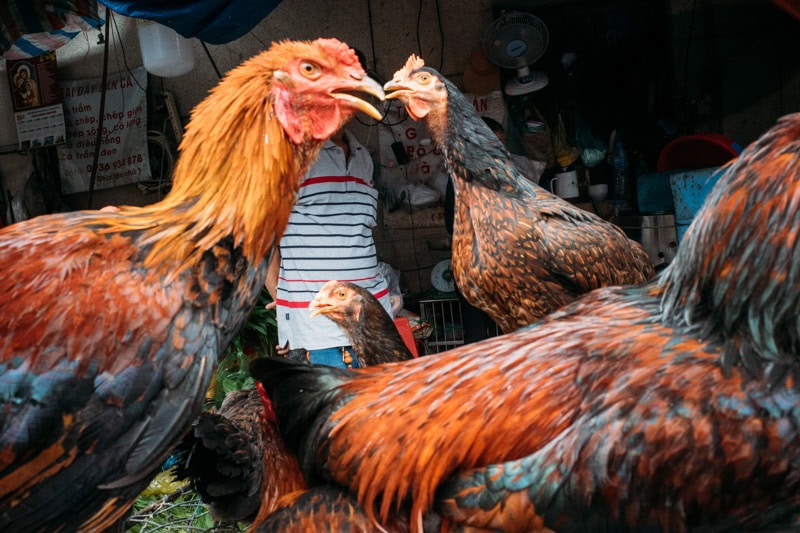 Saigon’s Southern Photo Club Sunday Photowalks